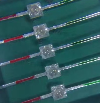 小蝴蝶圓頭紅翠綠雙色